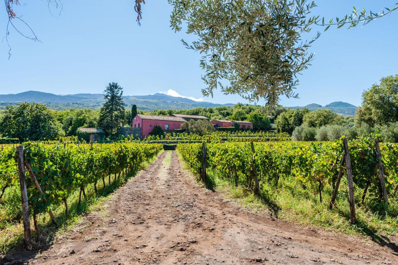 Terrazze Dell'Etna - Country Rooms And Apartments Randazzo Εξωτερικό φωτογραφία