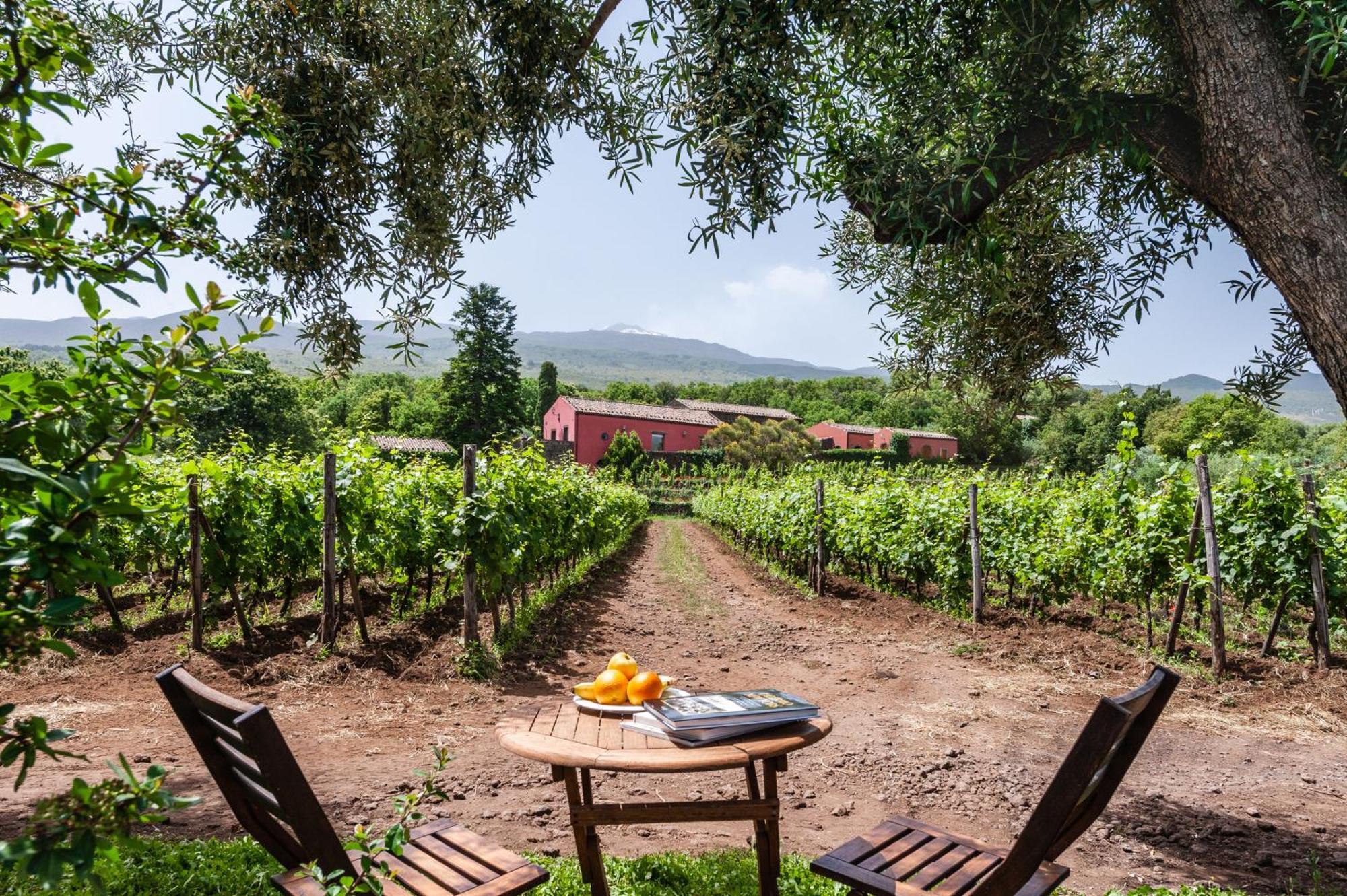 Terrazze Dell'Etna - Country Rooms And Apartments Randazzo Εξωτερικό φωτογραφία